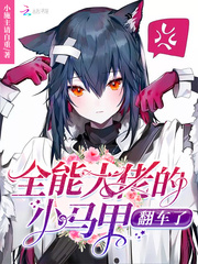 ȫ�ܴ��е�С���׷�����