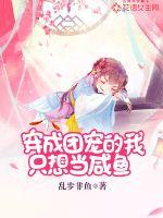 �����ų����ֻ�뵱����